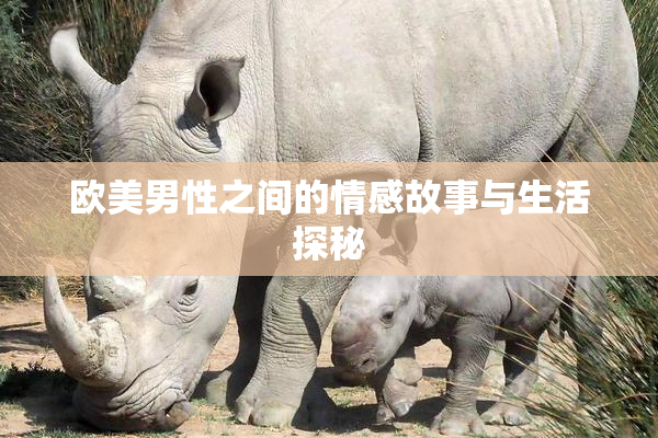 欧美男性之间的情感故事与生活探秘