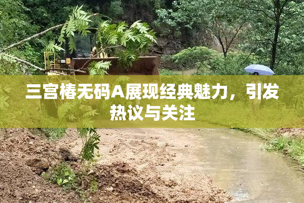 三宫椿无码A展现经典魅力，引发热议与关注