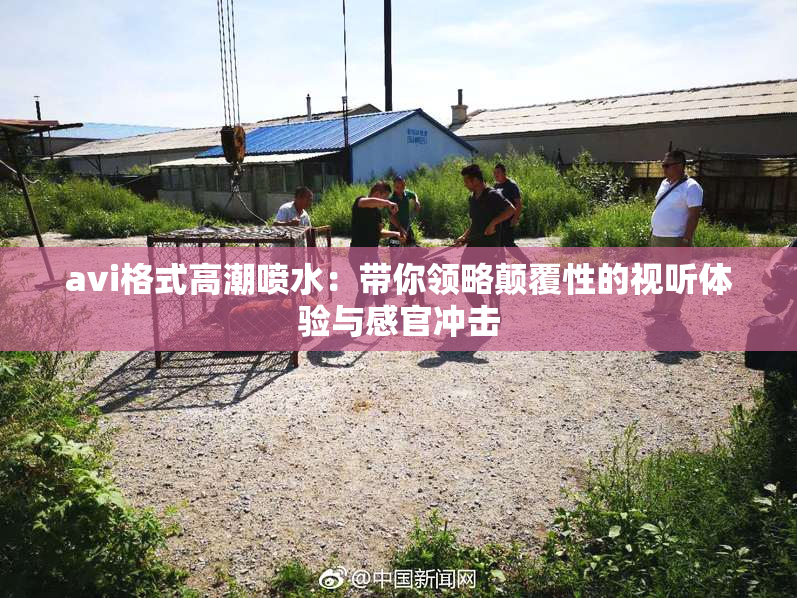 avi格式高潮喷水：带你领略颠覆性的视听体验与感官冲击