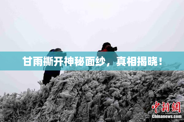 甘雨撕开神秘面纱，真相揭晓！
