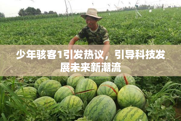 少年骇客1引发热议，引导科技发展未来新潮流