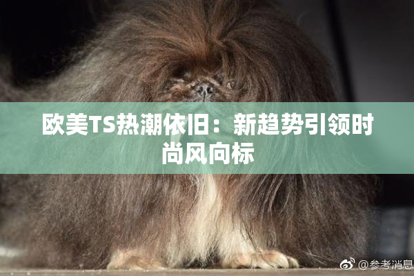 欧美TS热潮依旧：新趋势引领时尚风向标