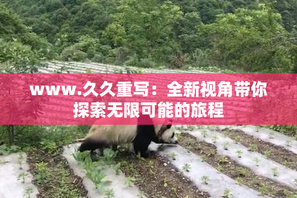 www.久久重写：全新视角带你探索无限可能的旅程