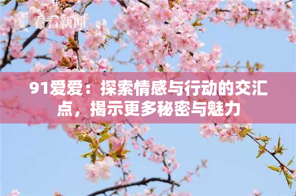 91爱爱：探索情感与行动的交汇点，揭示更多秘密与魅力