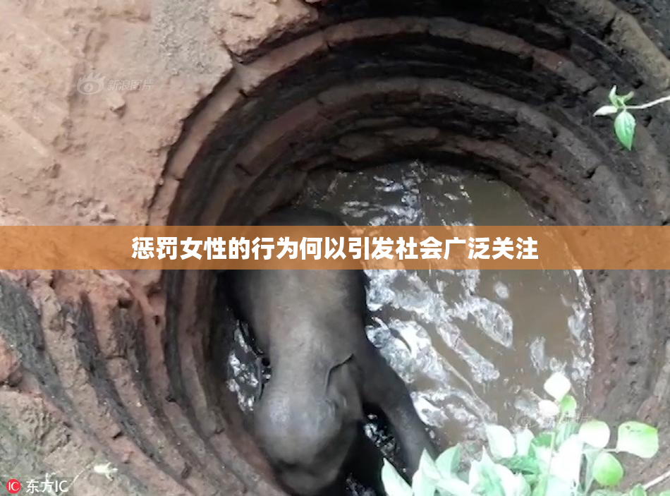 惩罚女性的行为何以引发社会广泛关注