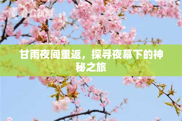 甘雨夜间重返，探寻夜幕下的神秘之旅