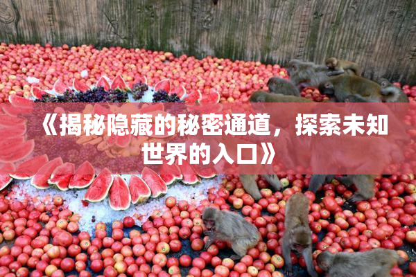 《揭秘隐藏的秘密通道，探索未知世界的入口》
