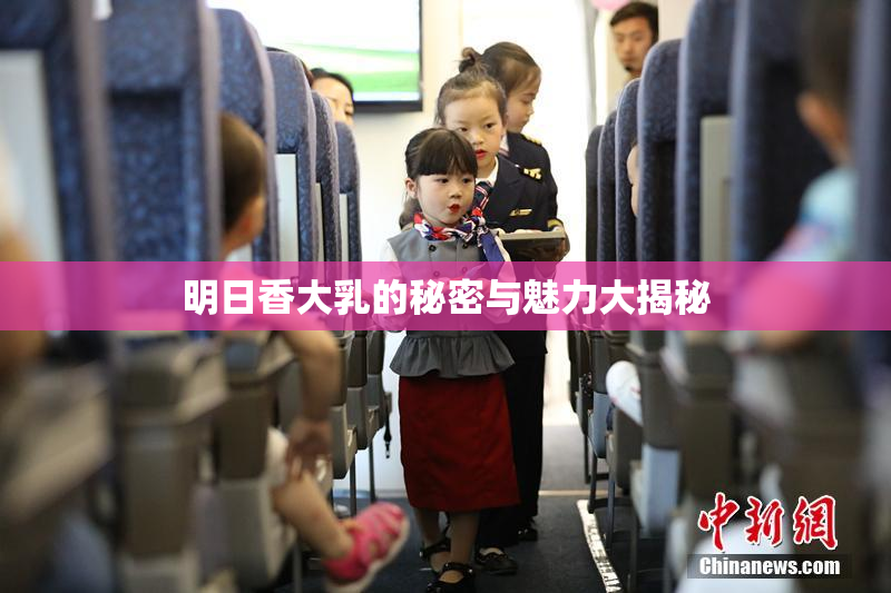 明日香大乳的秘密与魅力大揭秘