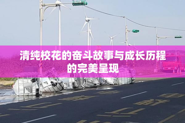 清纯校花的奋斗故事与成长历程的完美呈现