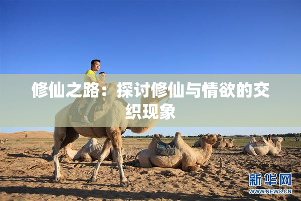 修仙之路：探讨修仙与情欲的交织现象