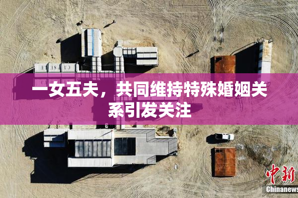 一女五夫，共同维持特殊婚姻关系引发关注