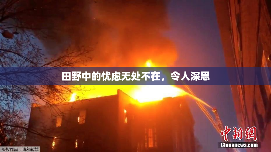 田野中的忧虑无处不在，令人深思