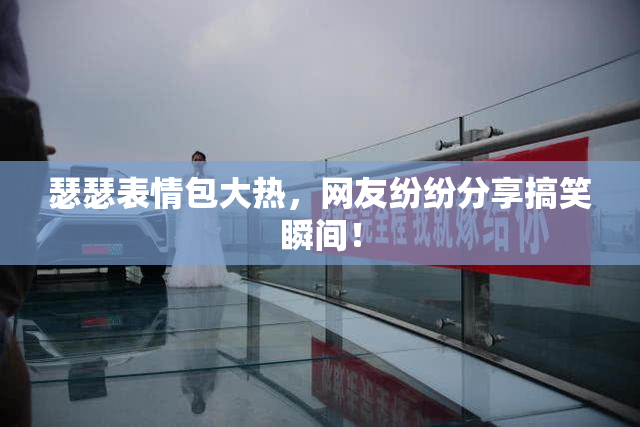 瑟瑟表情包大热，网友纷纷分享搞笑瞬间！