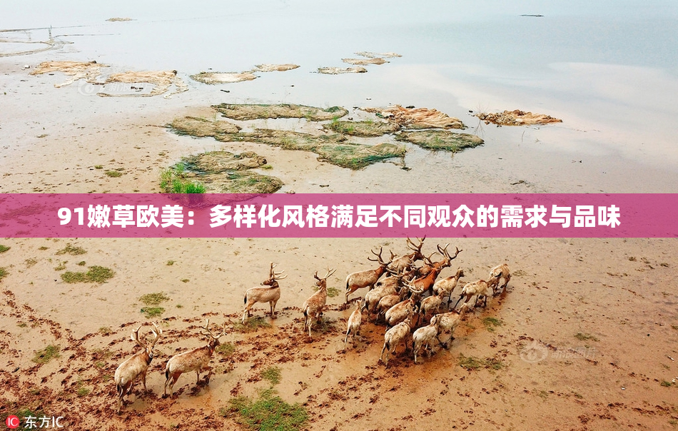 91嫩草欧美：多样化风格满足不同观众的需求与品味