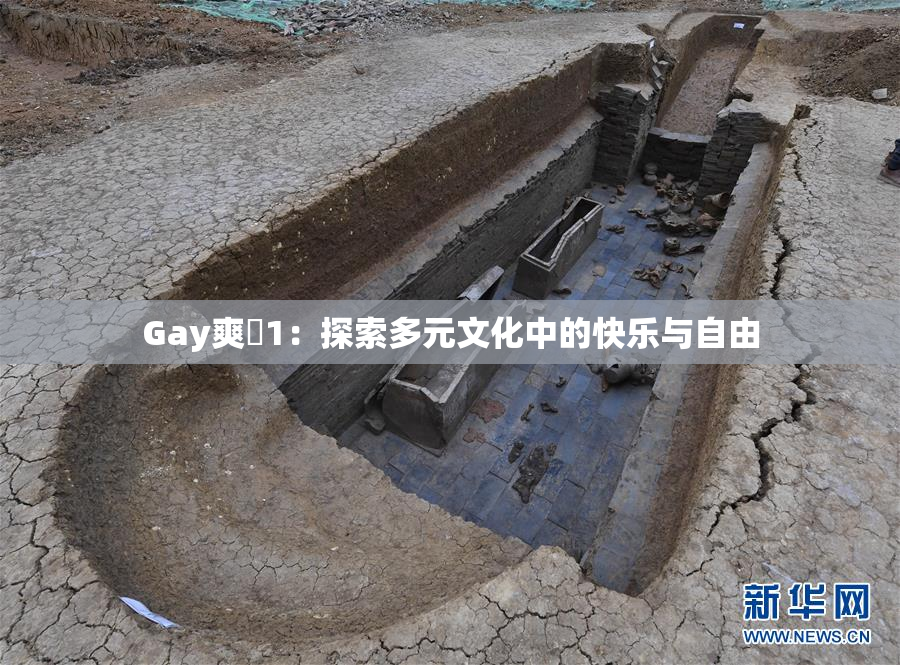 Gay爽擼1：探索多元文化中的快乐与自由
