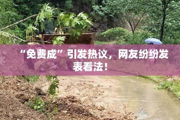“免费成”引发热议，网友纷纷发表看法！
