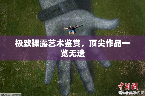 极致裸露艺术鉴赏，顶尖作品一览无遗