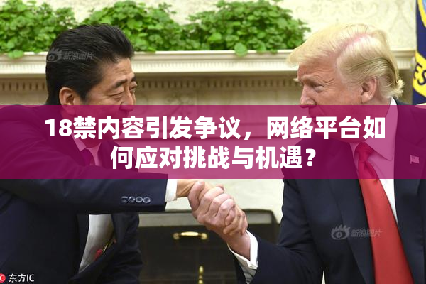 18禁内容引发争议，网络平台如何应对挑战与机遇？