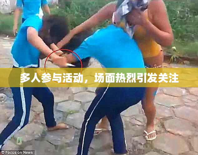 多人参与活动，场面热烈引发关注