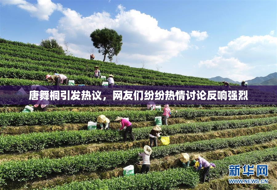 唐舞桐引发热议，网友们纷纷热情讨论反响强烈
