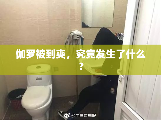 伽罗被到爽，究竟发生了什么？
