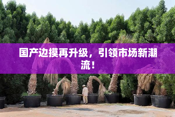 国产边摸再升级，引领市场新潮流！
