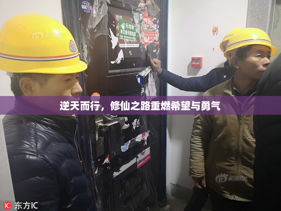 逆天而行，修仙之路重燃希望与勇气