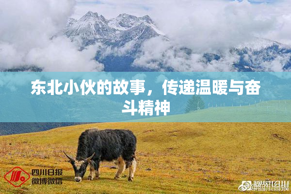 东北小伙的故事，传递温暖与奋斗精神
