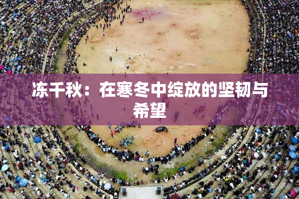 冻千秋：在寒冬中绽放的坚韧与希望