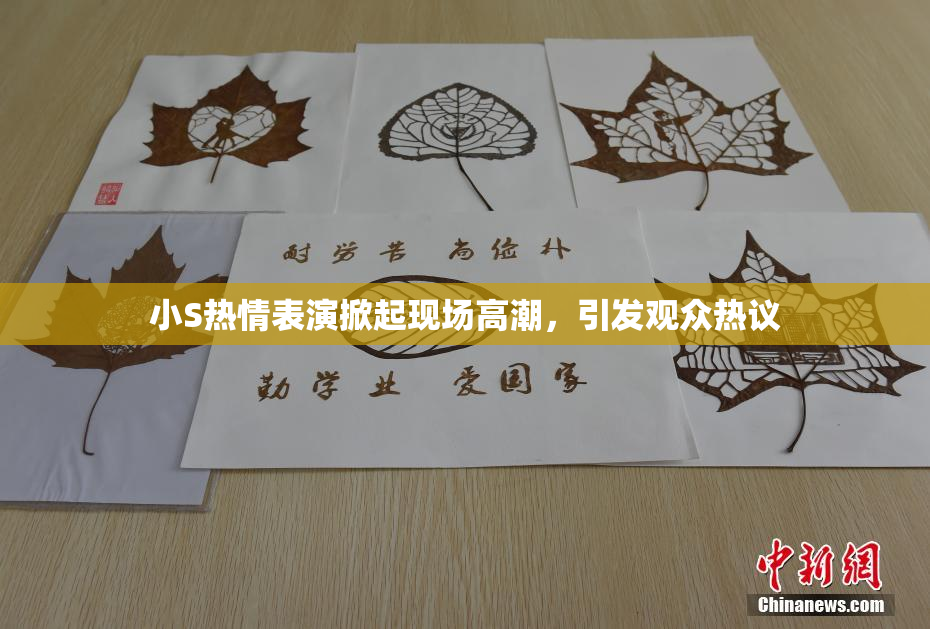 小S热情表演掀起现场高潮，引发观众热议