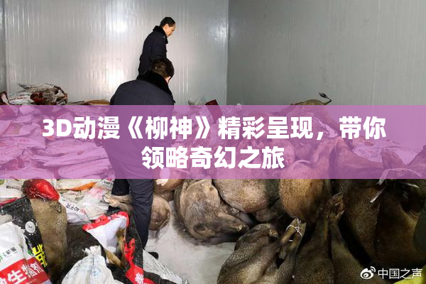 3D动漫《柳神》精彩呈现，带你领略奇幻之旅