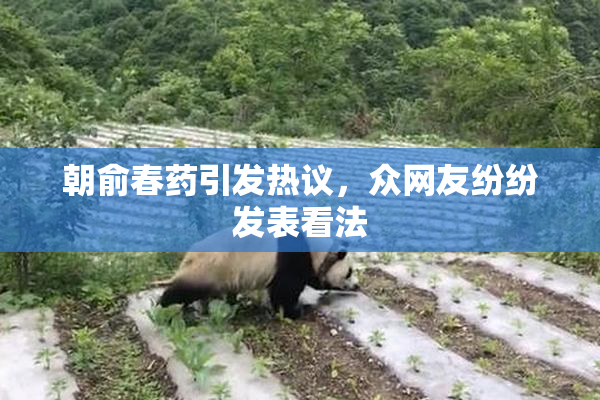 朝俞春药引发热议，众网友纷纷发表看法