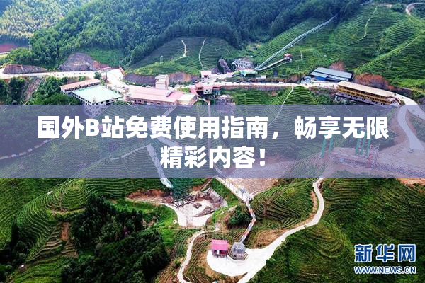 国外B站免费使用指南，畅享无限精彩内容！
