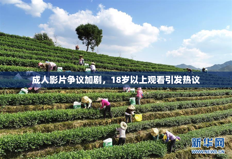 成人影片争议加剧，18岁以上观看引发热议