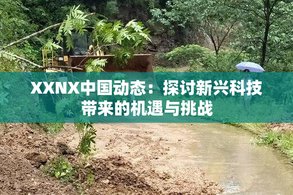 XXNX中国动态：探讨新兴科技带来的机遇与挑战