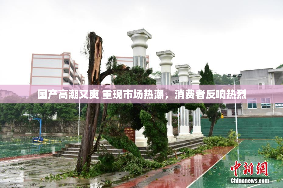 国产高潮又爽 重现市场热潮，消费者反响热烈