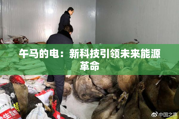 午马的电：新科技引领未来能源革命
