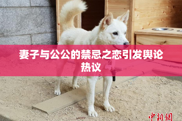 妻子与公公的禁忌之恋引发舆论热议