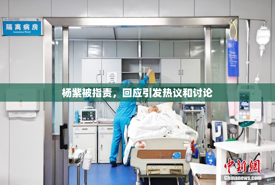 杨紫被指责，回应引发热议和讨论