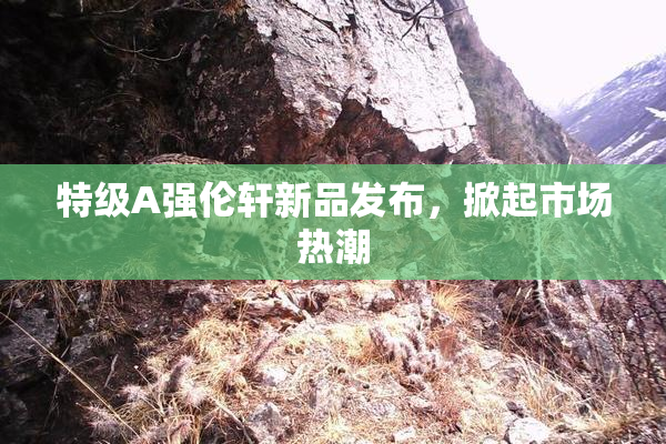 特级A强伦轩新品发布，掀起市场热潮
