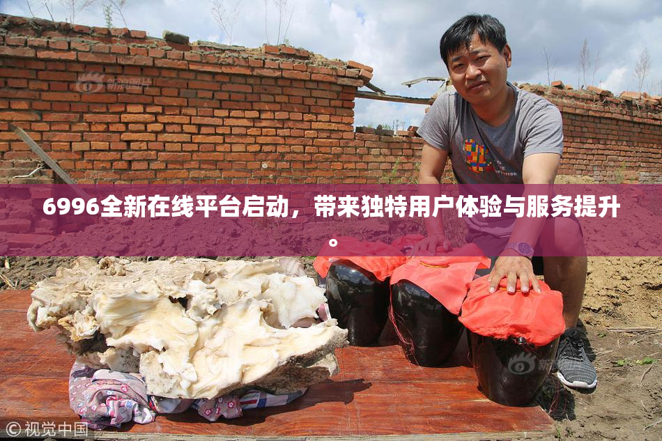 6996全新在线平台启动，带来独特用户体验与服务提升。