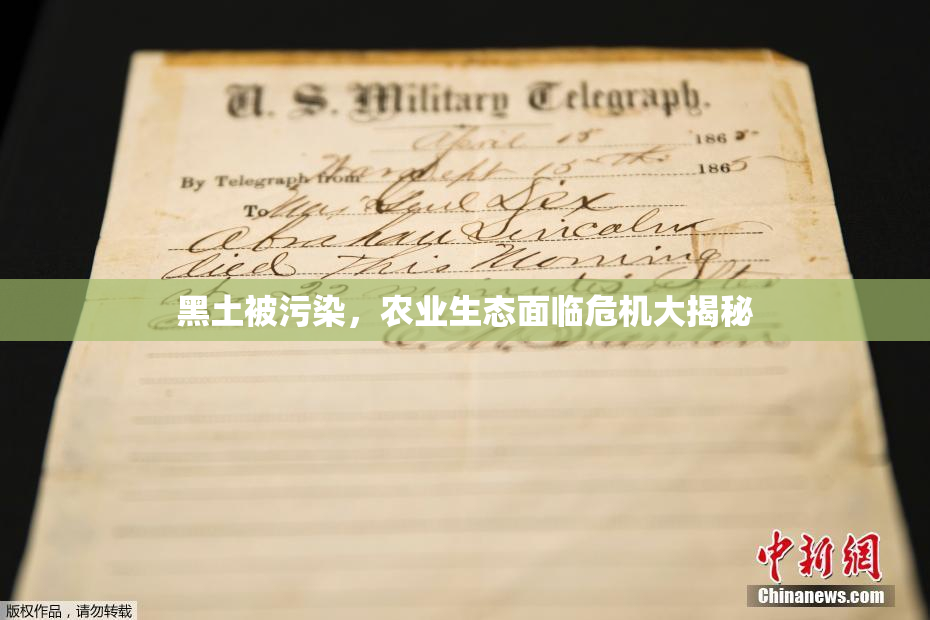 黑土被污染，农业生态面临危机大揭秘
