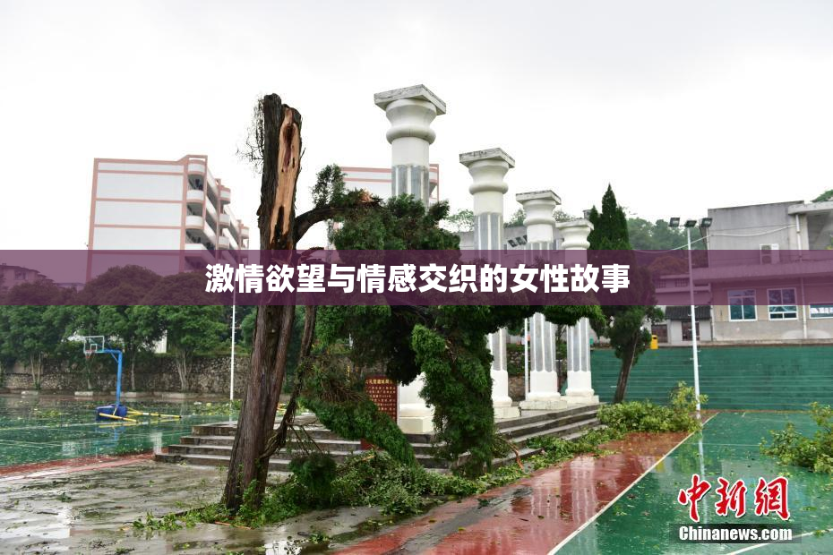 激情欲望与情感交织的女性故事