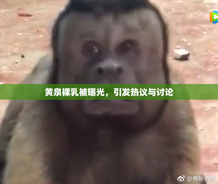 黄泉裸乳被曝光，引发热议与讨论