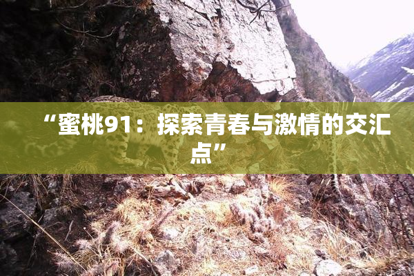 “蜜桃91：探索青春与激情的交汇点”