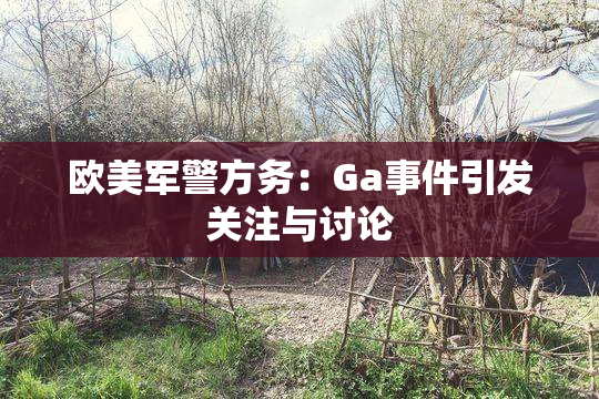 欧美军警方务：Ga事件引发关注与讨论
