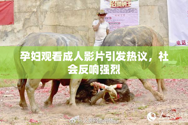 孕妇观看成人影片引发热议，社会反响强烈