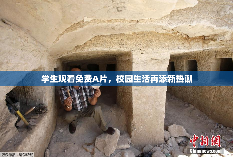 学生观看免费A片，校园生活再添新热潮