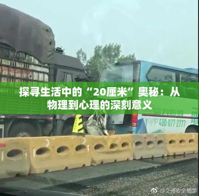 探寻生活中的“20厘米”奥秘：从物理到心理的深刻意义