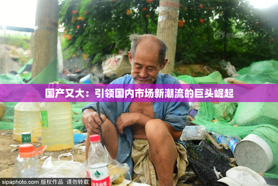 国产又大：引领国内市场新潮流的巨头崛起